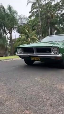 The video shows a green classic car, a Falcon 500, parked on an asphalt driveway. The camera pans from the front to the side, showing its emblem and wheel well, with the silver hubcaps. Palm trees and other greenery surround the area. The background includes a residential street and houses across from the property. The weather appears overcast.