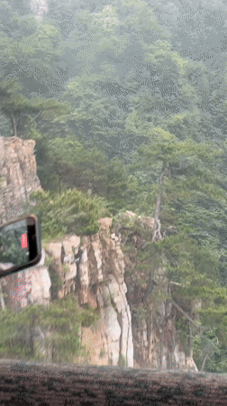 Misty night footage captures Wulingyuan mountains and cable cars