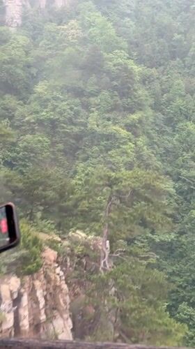 Misty night footage captures Wulingyuan mountains and cable cars