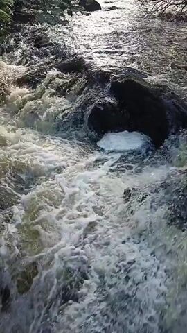 The video shows a close-up, high-angle shot of a fast-flowing river. The water is white and foamy as it cascades over rocks and debris in the riverbed. Sunlight glints off the surface of the water, creating a shimmering effect. The banks of the river are lined with dark, wet rocks and some sparse vegetation. The overall impression is one of raw, natural power and movement.