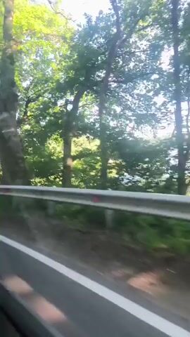 This video appears to be taken from a moving vehicle, likely a car, traveling along a road. The scene is dominated by lush green foliage and trees, suggesting a rural or natural setting, possibly a forest or park. A silver guardrail is prominently visible in the foreground, indicating the edge of the road. The time of day seems to be daytime, with bright sunlight filtering through the leaves, creating dappled light and shadows. The weather appears to be pleasant, with clear skies visible in some frames.

In one segment, the view expands to reveal a body of water, likely a lake or river, bordered by green grassy areas and more trees in the distance. This suggests the road is passing by a scenic natural landscape. The camera pans and shifts, capturing the passing scenery, which includes rolling hills and a wider expanse of water. There are no people or specific objects clearly identifiable in the frames, apart from the natural elements and the road infrastructure. The overall mood is one of peaceful travel through a verdant environment. No visible text is present in the video.