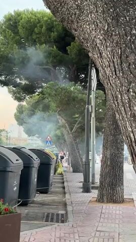 The video shows a street scene with large black trash bins lining the sidewalk. Beyond the bins, there are several trees with lush green foliage. In the background, buildings and a street with cars can be seen. There is smoke or steam rising from behind the trees, obscuring some of the background. A street sign indicating a pedestrian crossing is visible. A few people are walking along the sidewalk in the distance. The sky appears to be a pale orange or pink, suggesting either sunrise or sunset. The overall atmosphere is somewhat hazy due to the visible smoke or steam.