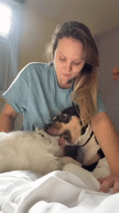 Woman spends morning with two dogs in Tel Aviv apartment
