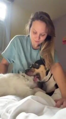 Woman spends morning with two dogs in Tel Aviv apartment