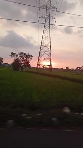 The video captures a scenic view at sunset, moving along a road. A tall, lattice-like electricity pylon stands prominently against a sky filled with soft clouds, colored with hues of orange and pink from the setting sun. Below, a vibrant green field stretches out, with a few trees dotting the landscape. In the distance, houses and buildings can be seen nestled amidst the greenery. The camera moves, and at one point, a blurry image of a building with flags on its roof is visible, followed by a fleeting, motion-blurred shot of a motorcycle passing by. The final frames continue to showcase the expansive green field under the twilight sky, with the distinct lines of power lines running across the upper portion of the screen. The overall impression is one of a peaceful rural or semi-rural environment during dusk.