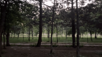 Bishkek park stroll turns into a lit-up fairground evening