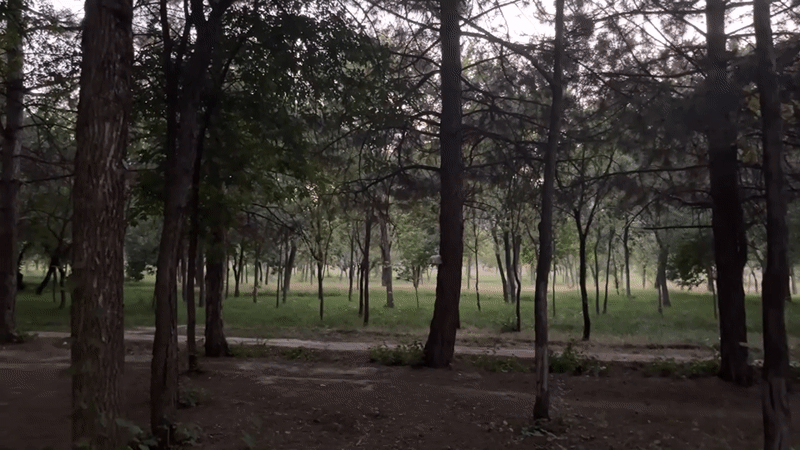 Bishkek park stroll turns into a lit-up fairground evening