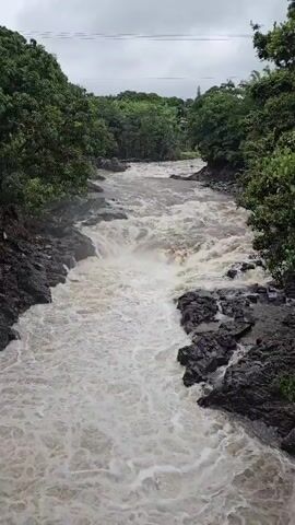 The video shows a wide, fast-flowing river with turbulent, frothy water. Dark, rocky shores line both sides of the river, with lush green trees and foliage growing densely on the banks. In the distance, the river appears to narrow and perhaps go over a cascade or small waterfall. The sky is overcast, suggesting a cloudy or possibly rainy day. There are no people or visible man-made structures in the immediate vicinity of the river, except for what appears to be a power line stretching across the sky in the background. The overall impression is of a wild, natural landscape with a powerful river.