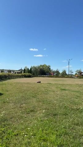 A robotic lawnmower is cutting grass in a field under a clear blue sky. The lawnmower is dark gray and black, and it is moving across the green and dry grass. In the background, there are trees, some buildings, and what appear to be picnic tables. The sun is shining brightly, casting shadows on the ground. The video is shot from a distance, and the lawnmower is the main subject of the video.