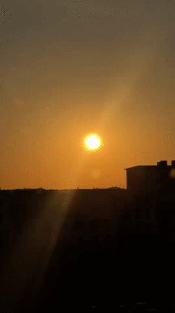 Sunset views, a gray cat, and a quiet city evening