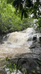 Turbulent waterfall observed in Pitabeddara forest, Sri Lanka
