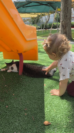 Morning moments captured across Kiryat Bialik playgrounds and classes