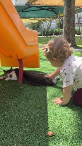 Morning moments captured across Kiryat Bialik playgrounds and classes