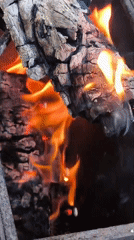 Evening outdoor gathering features fire pit and blooming garden