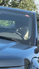 Dog spotted resting behind steering wheel in Córdoba SUV