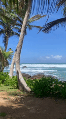 Morning beach scenes captured in Midigama, Sri Lanka