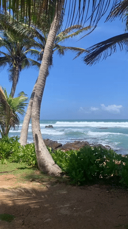 Morning beach scenes captured in Midigama, Sri Lanka