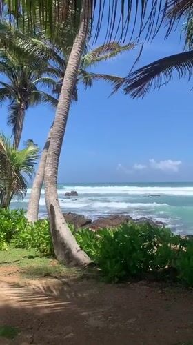 Morning beach scenes captured in Midigama, Sri Lanka