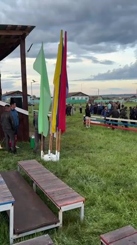 An outdoor scene depicts a grassy field under an overcast sky, with a village visible in the background. In the foreground left, two wooden benches are positioned. To their right, a dark-roofed shelter stands, accompanied by four flagpoles displaying light green, yellow, red, and blue flags. Several adults are present near the shelter and flags. A low fence, painted in alternating red, white, and blue sections, spans across the midground, separating the immediate foreground from a larger crowd. A small child in light-colored clothing walks from left to right across the grass in the foreground, followed by another small child running past. Adults, including a woman in a red hoodie and grey pants, and another in a camouflage vest and light blue jeans, are moving or standing in the foreground. Behind the red, white, and blue fence, a large gathering of approximately 50-70 people, consisting of adults and teenagers, are standing and conversing. One individual in the crowd is holding an infant. In the background, several houses with light-colored walls and dark roofs are visible, along with a tall, slender communication tower. Distant land formations are discernible under the horizon.