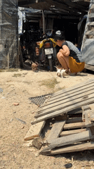 Woman interacts with puppies in yard near Vietnam heritage area