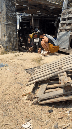 Woman interacts with puppies in yard near Vietnam heritage area