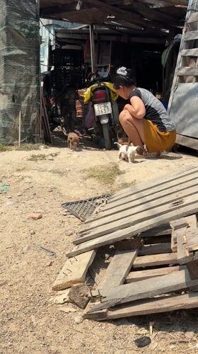 Woman interacts with puppies in yard near Vietnam heritage area