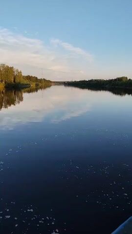 The video shows a wide, calm river. The water is dark blue and reflects the sky and trees on the shore. There are some small white bubbles on the surface of the water. The sky is clear blue with a few wispy clouds. The sun is low in the sky, casting a warm light on the scene. The trees on the shore are green and lush. There is a tower or radio mast visible in the distance on the left side of the river. The overall impression is one of peace and tranquility.