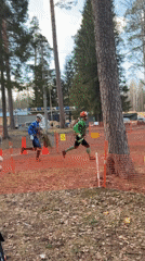 Outdoor sports event filmed in Russian pine forest