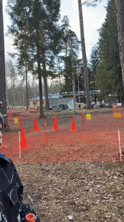 Outdoor sports event filmed in Russian pine forest