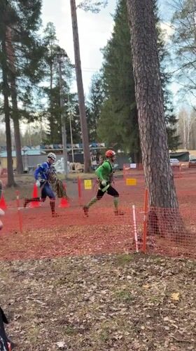 Outdoor sports event filmed in Russian pine forest