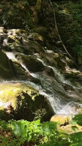 A video shows a small waterfall cascading over moss-covered rocks in a forest. The water flows down a series of steps, creating a gentle, natural spectacle. Sunlight filters through the dense canopy of trees, illuminating parts of the scene and casting shadows on the water and rocks. Lush green foliage frames the bottom of the shot, adding to the serene and natural ambiance of the forest environment.
