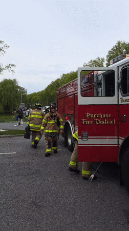 Emergency Response to Street Incident in Harrison, NY