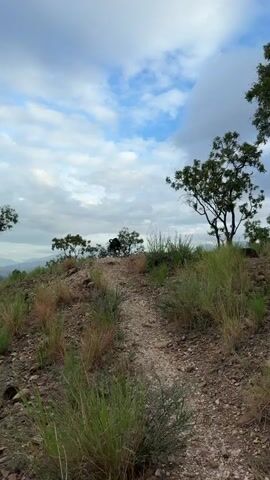 A dirt path winds up a rocky hill covered in dry grass. Trees are scattered on the hill and in the background. The sky is cloudy with patches of blue. A person wearing a black shirt and a person wearing a red shirt are visible at the top of the hill. A dog is also visible near the top of the hill. The dog appears to be a dark color. The person in the black shirt is bent over, possibly picking something up. The person in the red shirt is standing. The dog is standing.