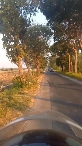 The video shows a view from a motorcycle on a paved road lined with trees. The sun is low in the sky, casting long shadows and a warm light on the scene. On the left side of the road, there is a dry, grassy field. On the right side of the road, there are more trees. Several vehicles, including motorcycles and cars, are traveling on the road in the same direction as the motorcycle from which the video is recorded. The road appears to be in a rural or semi-rural area. The video is a first-person perspective, likely recorded by a helmet camera.