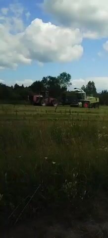 The video shows a farm field on a sunny day with scattered clouds. In the middle ground, a red tractor is pulling a green trailer filled with harvested grass. To the right of the trailer is a green forage harvester, also in operation, cutting and collecting grass. The foreground is filled with tall, green grass and some white wildflowers. The background consists of a treeline and a blue sky. The machines appear to be actively working, harvesting the field.