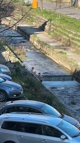 Two men play in shallow canal near Sliven street