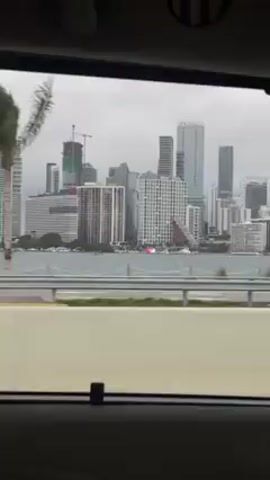 The video shows a view of the Miami skyline from inside a moving car. The cityscape includes a mix of high-rise buildings, some under construction, set against a gray, overcast sky. Palm trees sway in the foreground, indicating a breeze. A body of water separates the road from the city buildings. Other vehicles pass by on the road.