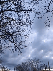 Overcast spring afternoon documented in Kryvyi Rih, Ukraine