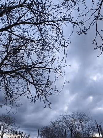 Overcast spring afternoon documented in Kryvyi Rih, Ukraine