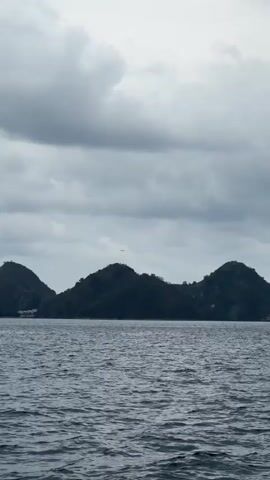 A video shows a wide shot of a calm, choppy body of water. In the background, a line of dark, tree-covered hills stretches across the frame under a cloudy sky. A small, white airplane is visible flying through the sky, positioned between two of the hills. The water reflects the grayness of the sky.