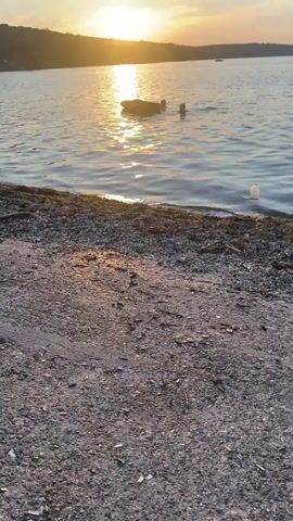 The video shows a serene sunset over a calm body of water, likely a lake or a wide river, with a silhouetted hillside in the background. The sun, a bright orb, is low on the horizon, casting a warm, golden glow across the water and sky, painting the clouds in shades of orange and yellow.

In the foreground, a pebbly shore is visible, with some scattered debris. The water is gently rippling, reflecting the sunlight in shimmering patterns.

In the middle of the water, there are two people swimming or wading near a dark, floating object, possibly a large piece of driftwood or a small inflatable raft. Their figures are partially submerged and silhouetted against the bright sunset. To the right of the frame, a white plastic bottle floats near the shore, a subtle indication of human presence and its potential impact on the environment.

In the distance, a small boat is visible on the water. The sky transitions from a clear blue at the top to warmer hues near the horizon. The overall mood of the scene is peaceful and tranquil, evoking a sense of relaxation and the beauty of nature at the end of the day. The time of day is clearly sunset, and the weather appears calm. The location context provided is Korzhevo, Moldova. There is no visible text in the media file.