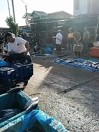 Overnight documentation captures busy fish market activity in Lhokseumawe