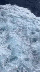 Ship navigates choppy waters; croissants observed in pan