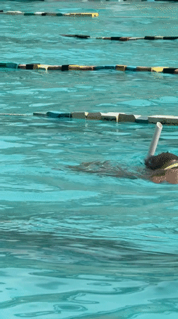 Early morning swimming session observed at Nha Trang pool facility