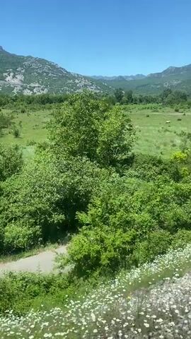 The video shows a landscape with green fields, trees, and mountains under a clear blue sky. The camera is moving, possibly from a train or vehicle, providing a view of the passing scenery. There are cultivated fields with parallel rows, and areas of dense vegetation. The mountains in the background appear rocky and sparsely vegetated. A small road can be seen between the vegetation. The overall impression is of a rural, natural environment.