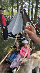 Children and dogs play together in Saint Petersburg park