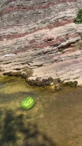The media file captures a serene natural scene in Mazići, Montenegro. The primary subject is a watermelon floating gently in a shallow, clear stream. The stream flows over moss-covered rocks, creating a small waterfall that cascades into a deeper ravine. The ravine walls are composed of layered, reddish-brown rock formations, characteristic of the region. Lush green vegetation, including trees and bushes, grows along the ravine's edges and on the rock faces, indicating a warm, sunny day with clear skies. The time of day appears to be midday, given the bright sunlight casting distinct shadows. The overall atmosphere is peaceful and tranquil, emphasizing the beauty of the natural landscape. There is no visible text in the media file.