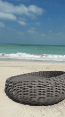 Beach lounger captured on UAE coastline during morning hours