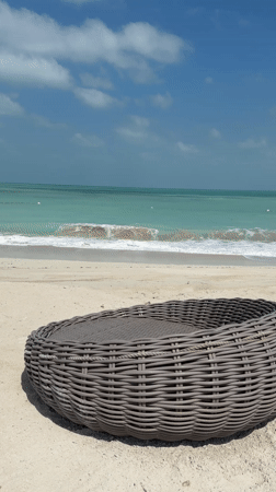 Beach lounger captured on UAE coastline during morning hours
