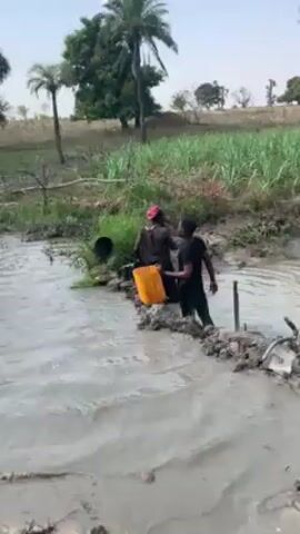Two people stand in a murky, shallow body of water in a rural setting. The person on the left is wearing a dark-colored robe and a pink head wrap, holding a yellow container. The person on the right is wearing a black shirt and black pants, and holding a long pole. They appear to be helping each other navigate a narrow muddy path through the water. The background includes tall grass, trees, and a bright sky. There is a black bucket resting on some greenery on the left. The water is muddy and appears to be a pond or stream. The overall environment seems natural with some human modification, such as the constructed path.